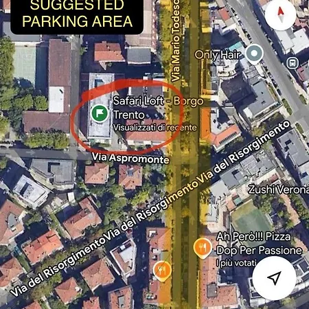 Safari Loft Borgo Trento - Free Parking And Walk To Arena Verona
